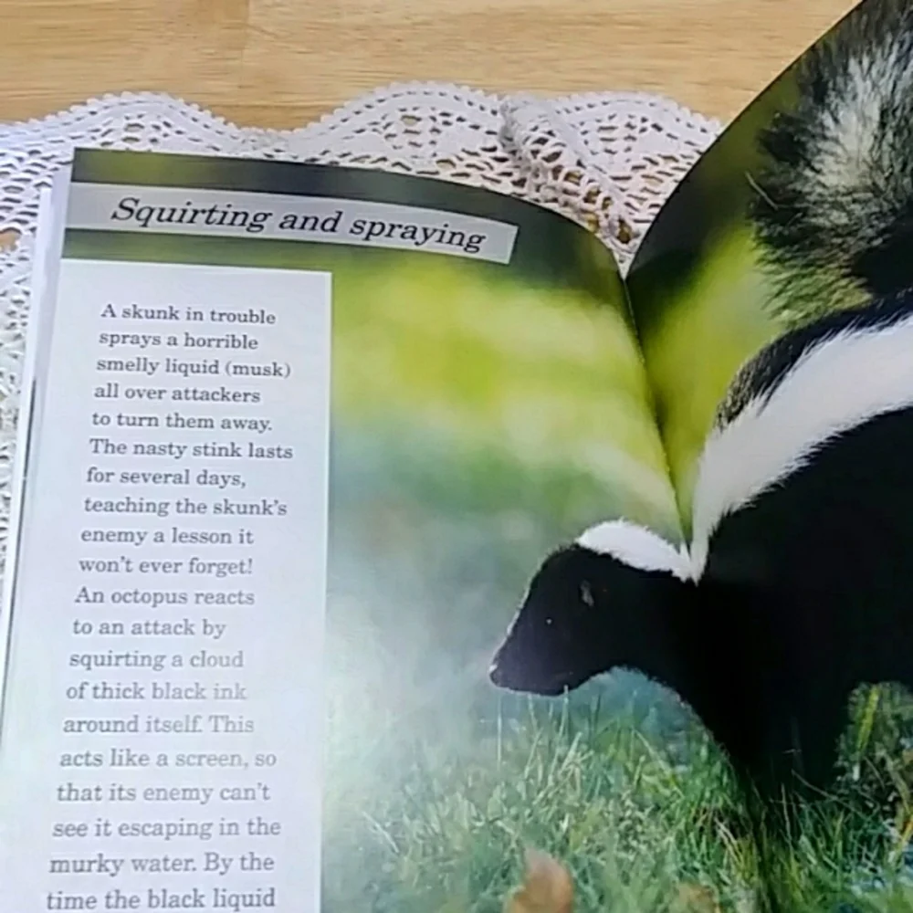 Red Rocket Readers want these